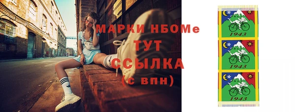 дурь Каменка