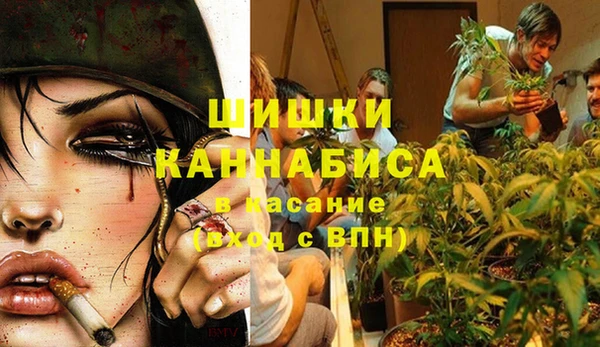 твердый Кинешма